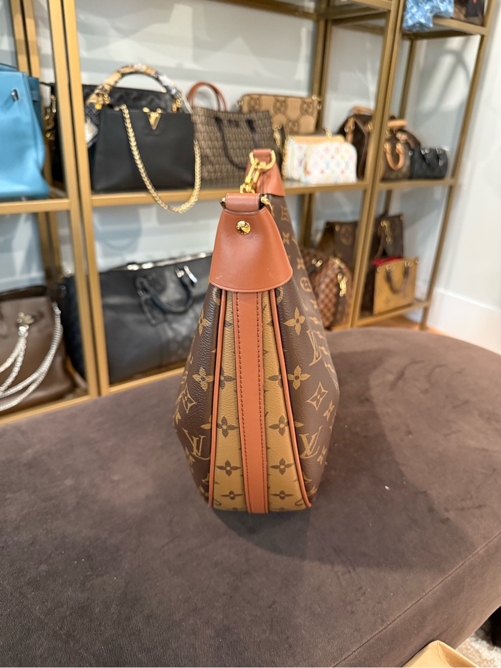 Louis Vuitton Loop Hobo Monogram Canvas - Picture 3 of 16